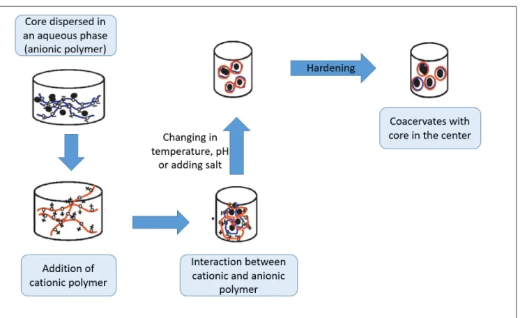 Figure 4. Coacervation process adapted from Reference  [105]. The bioactive molecule to  be encapsulated (core) is first  mixed with one polymer before adding the oppositely charged polymer