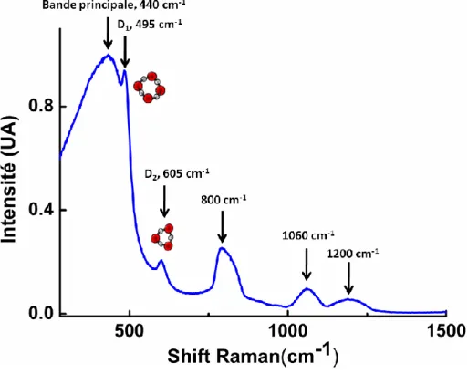Figure 3.3 : Spectre Raman typique pour un échantillon de silice fondue (Corning 7980) montrant les  différentes vibrations