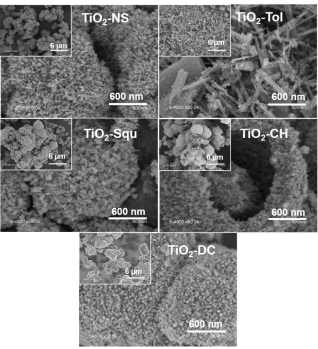 Figure 3.7 : Images MEB des échantillons de TiO 2  calcinés (500°C /5h. 10°C.min -1 ) avec les différents  solvants synthétisés pendant 3 j à 110°C 