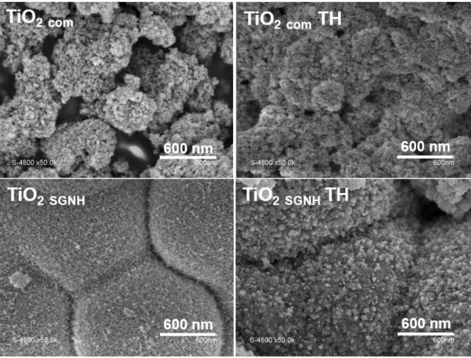 Figure 3.12 : Images MEB de TiO 2 com  et TiO 2 SGNH  avant et après traitement hydrothermal (160 °C /  48 h/ pH 2,5)  