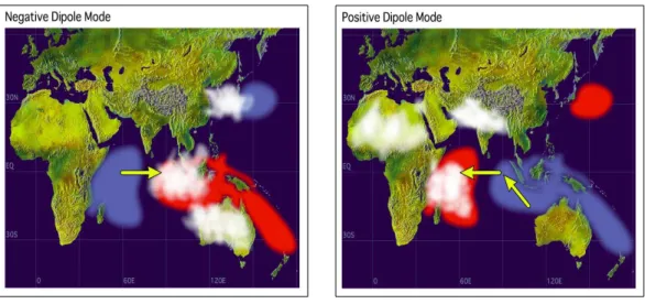 Fig. 1. Air-sea interaction for a negative (left panel) and a positive (right panel) IOD event.