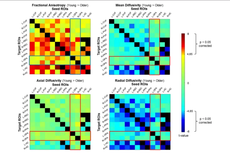 FIGURE 2 | Correlation matrices representing differences between groups (Young Group vs