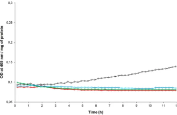 Figure 6.  Immuno-localization of the caspase-3 active form in sensitive S. oryzae (strain WAA42) intoxicated  by PA1b