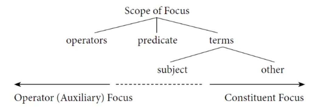 Figure 2.1: Focus types by scope (Watters 2010)