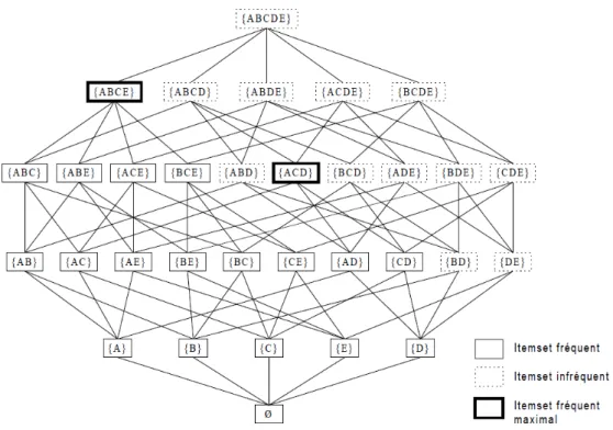 Figure 6  Itemsets maximaux dans un jeu de données [Pasquier, 2000a]