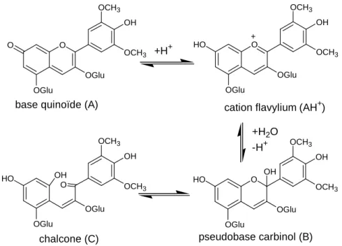 Figure I.5. Les différentes formes des anthocyanes selon le pH : exemple de  la malvine