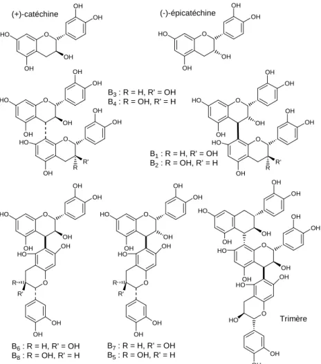 Figure I.15. Structure de catéchines, de proanthocyanidines dimères et d’un trimère. 