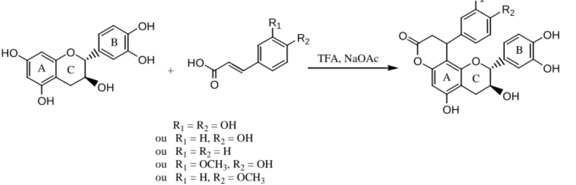 Figure I.21. Schéma d’une synthèse régiosélective entre le flavan-3-ol et des 