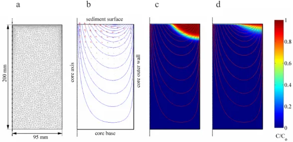Fig. 4. Model [3]: pore water flow induced in a stirred benthic chamber. (a) geometry of the sediment domain and the finite element discretization; (b) flow line pattern; (c) bromide concentration pattern after 12 h of incubation with the rotation speed of