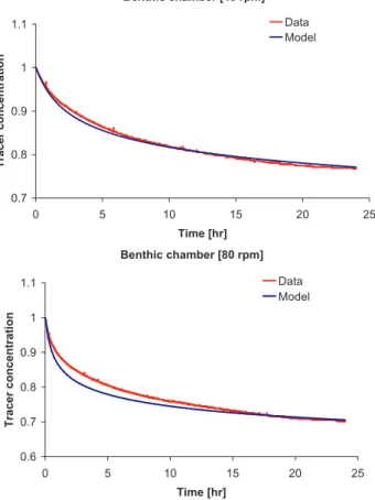 Fig. 7. Validation of the model [1] of the lugworm bio-irrigation.