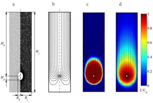 Fig. 2. Model [1]: lugworm bio-irrigation in a laboratory core set-up. (a) scheme of the sediment domain geometry and the finite element mesh; (b) simulated flow line pattern; (c) simulated concentration pattern for the conservative tracer bromide after tw