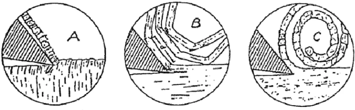 Figure II.18 Allure du copeau suivant les modes de coupe A, B et C (Thomas, 1984) Mouvement de coupe rectiligne