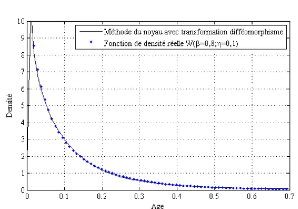 Figure III.21 – Estimation par la transformation difféomorphisme cas {W (0, 8; 0, 1)} taille des données 500.
