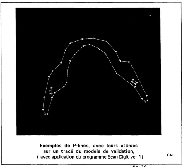 fig. 36 2.2.2.6) les points de contrôle: Control-nodes