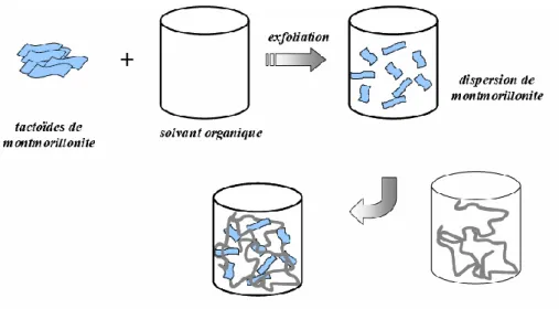 Figure III.1. Elaboration de nanocomposites par voie direct en solution 