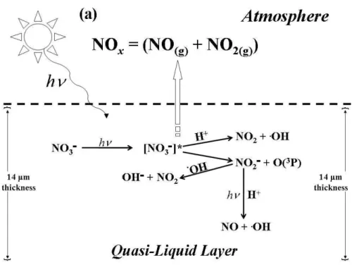Fig. 1. Simplified schematic diagram illustrating the primary reactions governing NO x release from a 500 µm thick QLL film to the gas phase from nitrate photochemistry