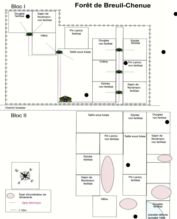 Figure  III.2 :  Plan  du  dispositif  expérimental  du  site  de  Breuil  (les  profils  de  sol  analysés avant la plantation sont symbolisés par les ronds noirs)