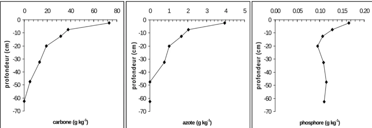 Figure IV.12. : C organique total, N total et P 2 O 5 (duchaufour)  de la terre fine en fonction  de la profondeur