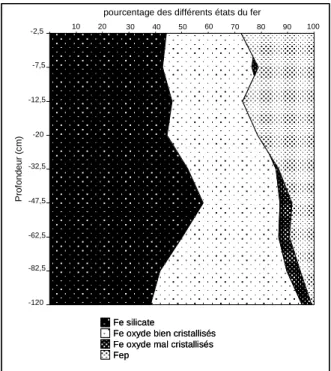 Figure IV.13 : Différents états du fer dans le profil de sol. 