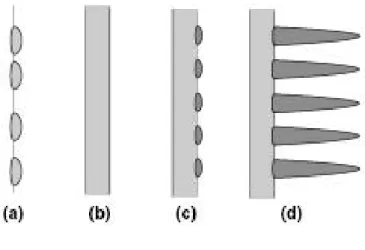 Figure 1-6    Sequence of the phase transformation modeling established based on β CEZ  alloy at high  temperature isothermal treatment  [101] 