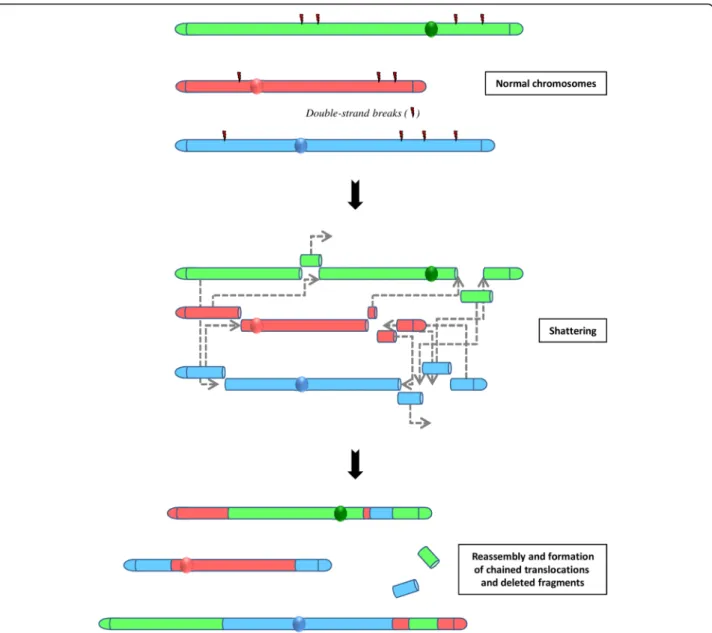 Fig. 3 The concept of chromoplexy: a series of chained, complex inter- and intra-chromosome translocations, involving up to eight chromosomes with frequent deletions at their breakpoints and presumably occurring simultaneously