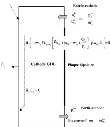 Figure 2.6 : Conditions aux limites du transport d’air sec dans la cathode. 