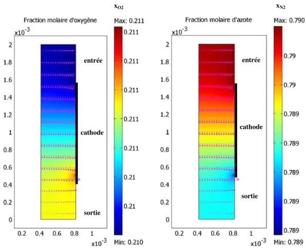 Figure 2.8 : Fraction molaire d’oxygène et d’azote  avec la vitesse du mélange gazeux comme condition aux limites