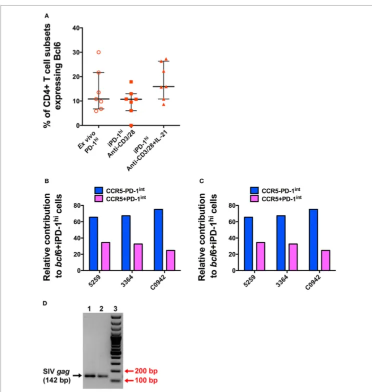 FigUre 6 | T cell receptor stimulation of purified cD4 + cD45ra − PD-1 int+  T cells induces Bcl6 expression to levels similar to that seen in T follicular  helper (Tfh) isolated ex vivo and allows siV-gag to be isolated from induced Tfh