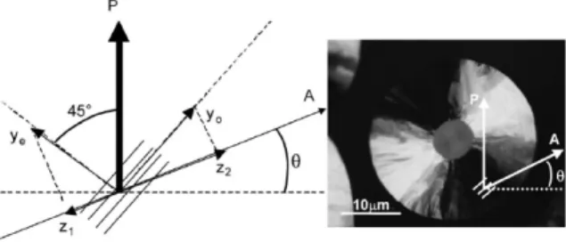 Table 2.  OA Anisotropy of Rough and Regenerative Laminars (RL and ReL, respectively), as a function of the range selected (TEM  diffraction selected area) [7]