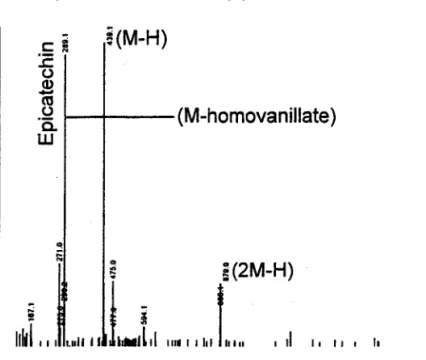 Figure 25: Spectre En UV du prodult Anisrs l2O  1€  dr
