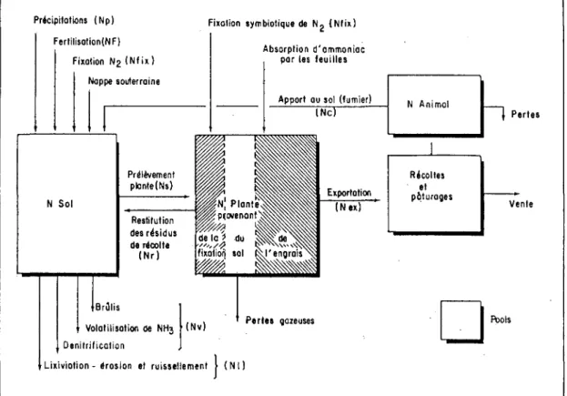 Figure 5 SChéma lontrant les deux principaux pools d'azote sol et plante, avec leurs inputs, outputs et transferts d'azote