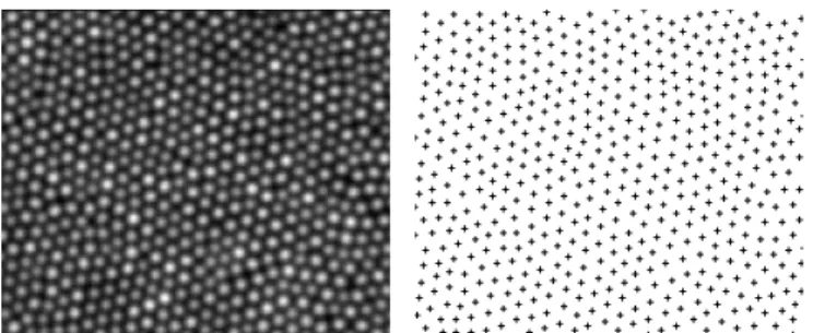 Fig. 2. Portion of a raw image of a constant signal and corresponding fiber centers.