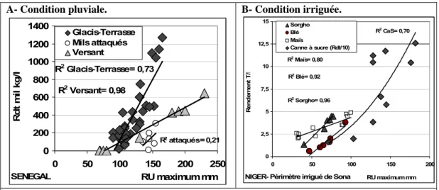 Figure 7- Effet du stress hydrique dû à l’encroûtement superficiel du sol. 