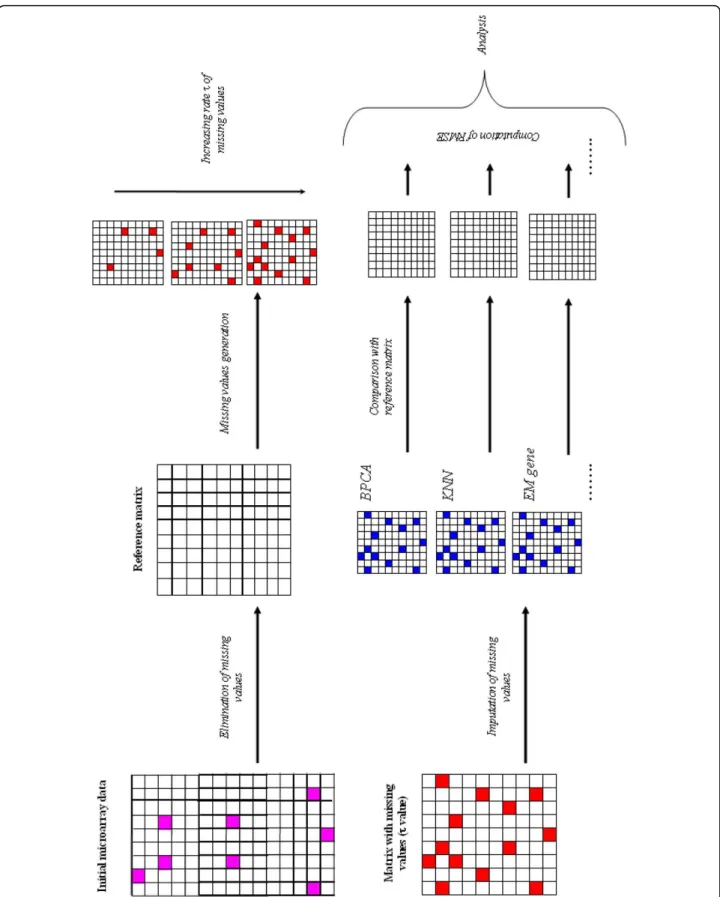 Figure 1 Principle of the method. The initial data matrix is analyzed. Each gene associated to at least one missing value (in pink) is excluded given a Reference matrix without any missing value