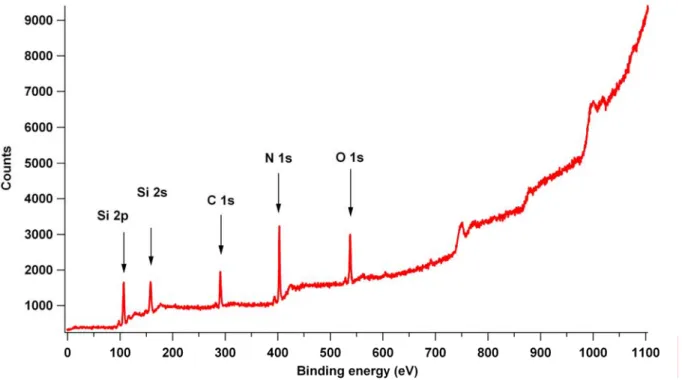 Fig. 30: XPS spectrum of a SiN  layer. The peaks represent the elements present at the surface of the 