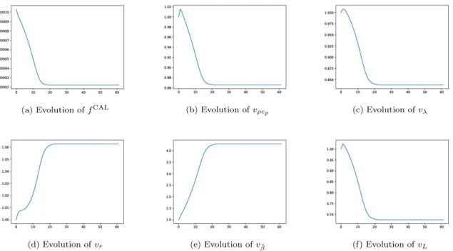 Figure 4.8: Evolution of the least square function f CAL as well as the optimization variable v with respect to the iterations