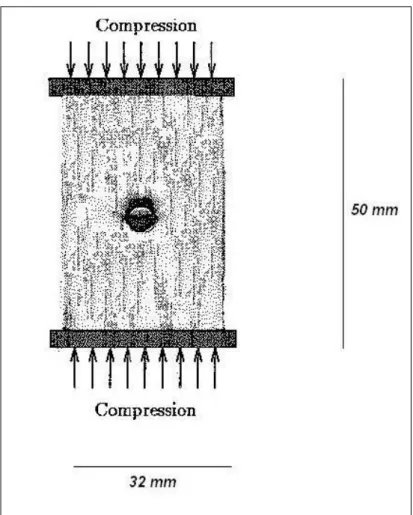 Figure 5.1: Rectangular plate under compressive loading [99]