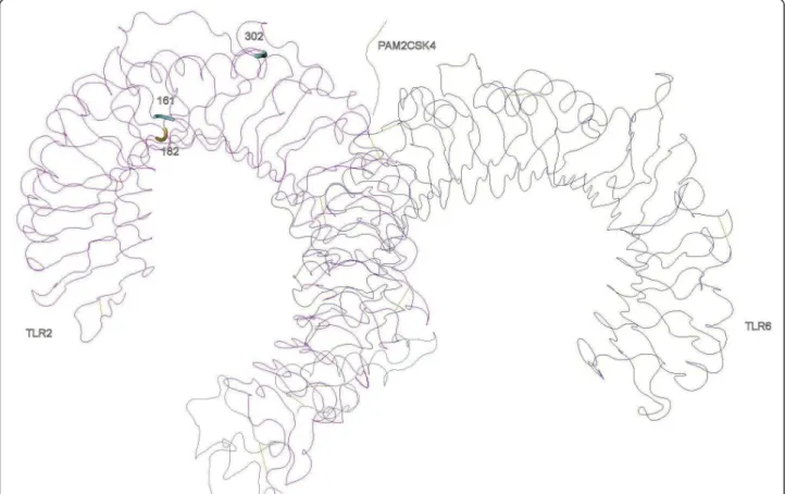 Figure 3 Positively selected sites in the three-dimensional structures of TLR2-TLR6 heterodimer with the synthetic diacylated lipoprotein Pam2CSK4.