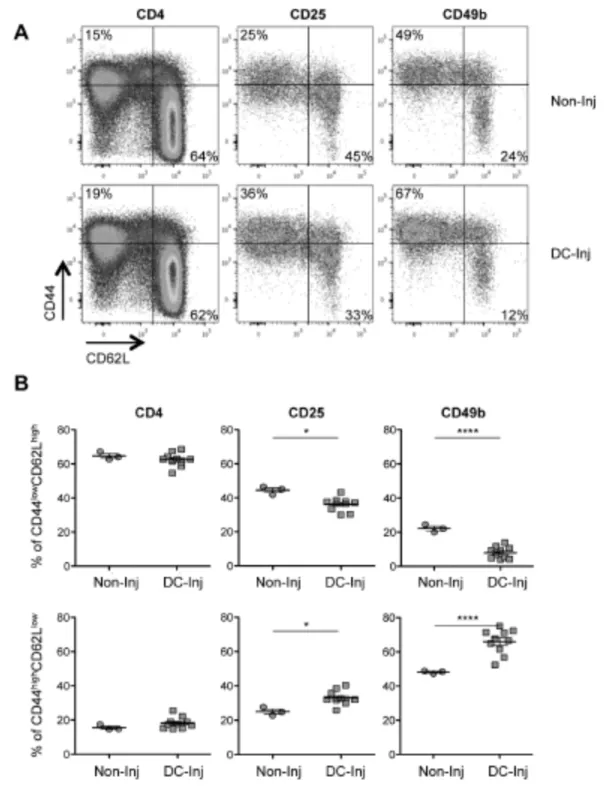 FIGURE  1.  DC-induced  CD49b +   cells  display  an  effector  memory  phenotype. 