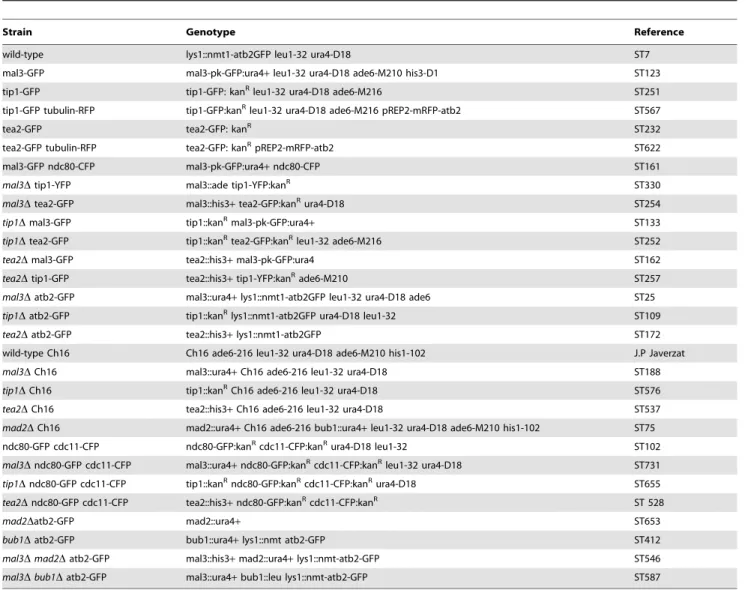 Table 1. Strains used in this study.