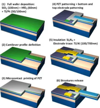 Fig. 3 shows SEM images of the PZT cantilevers. 