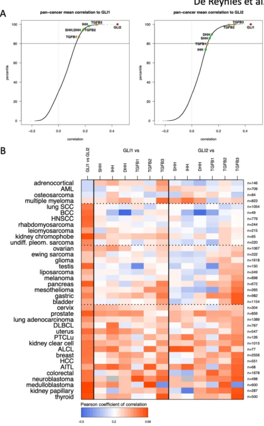 Figure 1.  Pan-cancer expression correlations with GLI1 and GLI2. (A) Data from 152 expression public  datasets from 37 cancer types, spanning over 23,500 patients were sorted and the correlation of 19,540 genes  (expressed in at least 30 tumor types) with