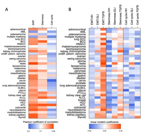 Figure 2.  Multivariate linear prediction models of metagene signatures for select major oncogenic traits  (mesenchymal/EMT, stemness, cell cycle)