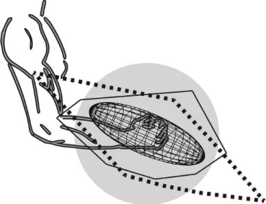 Figure 7. Representations of the SFE, SFP and MFP in the sagittal plane relative to the upper-limb posture for one subject, MFP (black squares), SFE (wire-frame) and MFP (solid line)