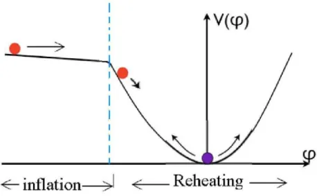 Figure 1.6: Inflaton slowly rolling down the potential before reheating the Universe by oscillating at the bottom of the well.