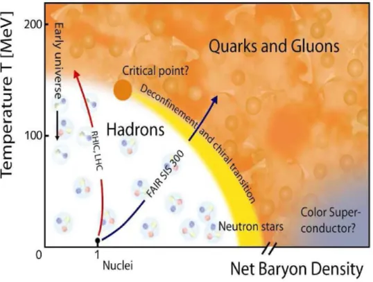 Figure 1.9: QCD phase transition in the Universe [16]