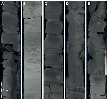 Figure F11. Representative examples of major lithologies recovered in Hole U1450B. A. Gray silty clay with silt laminae (9R-1, 65–97 cm)