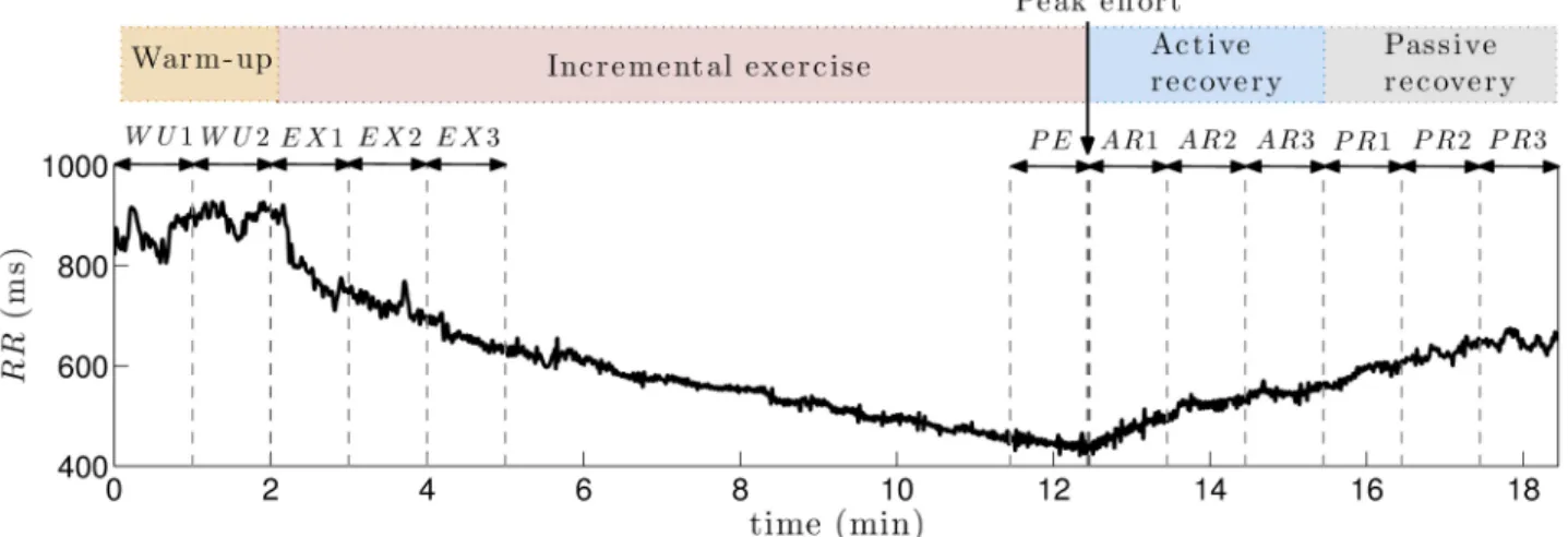 Fig 2. Representative example of RR series. Exercise testing was divided in four phases: warm-up, incremental exercise, active recovery and passive recovery