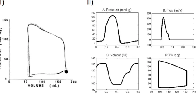 Figure 6: I) Stable resting left ventricular pressure-volume loop acquired from a human