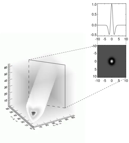 Fig. 9. Example of a beamlet function.